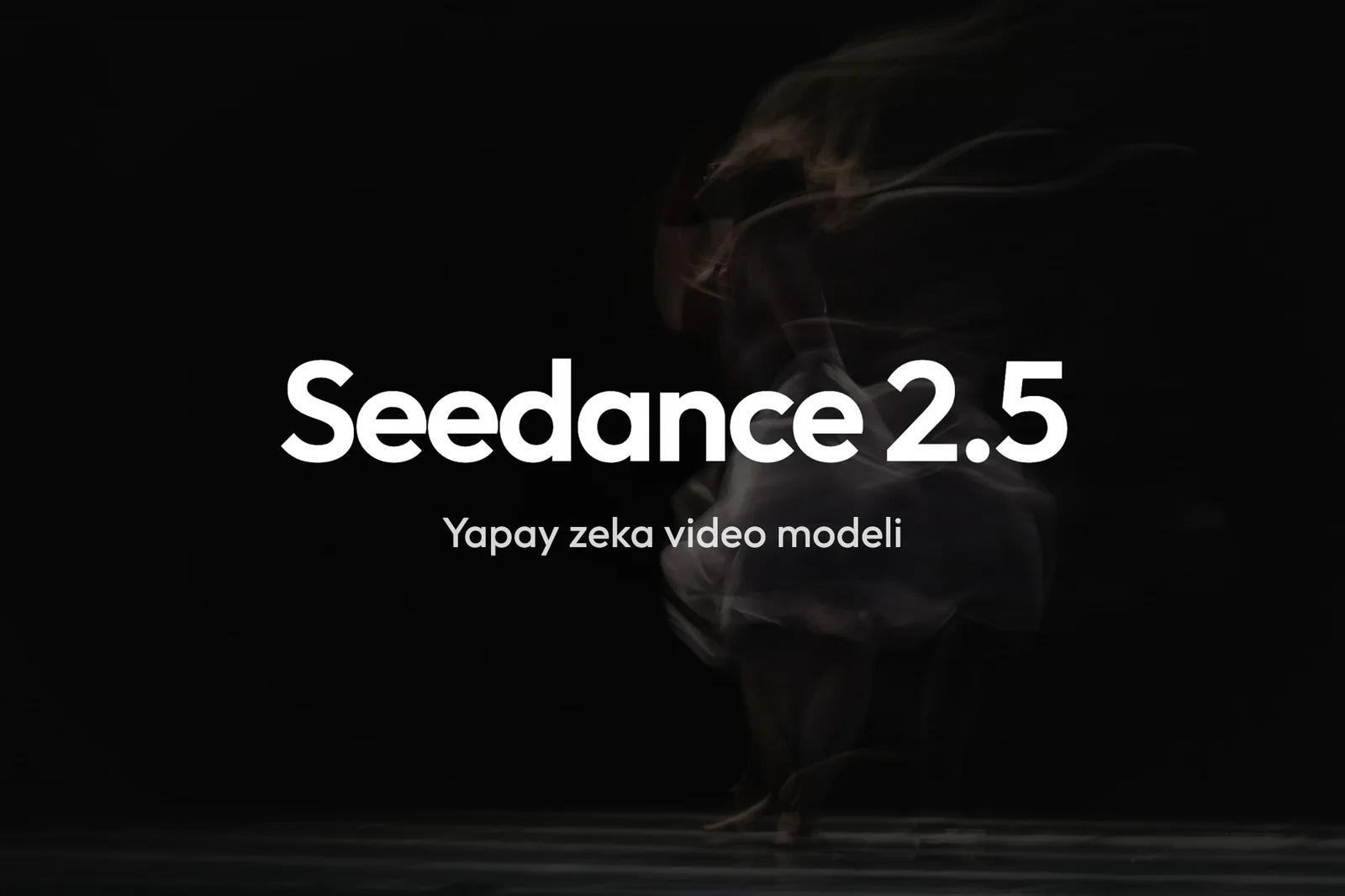 Karanlık sahnede dönen dansçı görüntüsünün üzerinde Seedance 2.5 yazısı