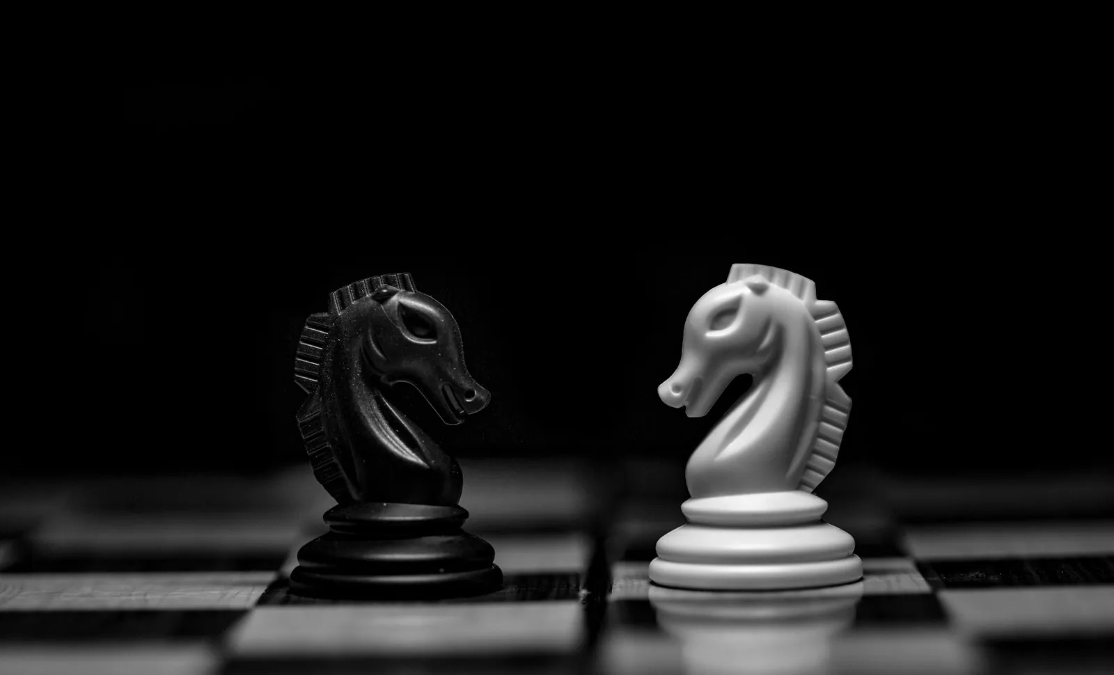 Siyah zeminde, satranç tahtası üstünde karşı karşıya duran siyah ve beyaz at